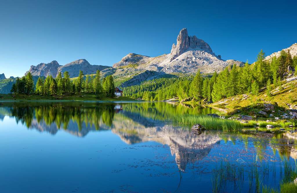 Mirabell Alpine Garden Resort & Spa Siusi Εξωτερικό φωτογραφία